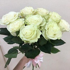 Букет Роза белая 70 см. шт.