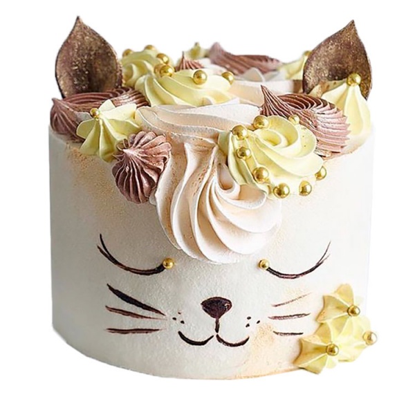 Торт Красивая кошка