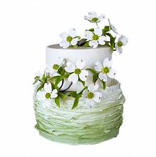 Торт Весенний с градиентом цвета